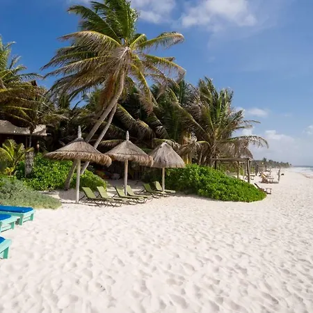 Beautiful House On Beach Zone Tulum