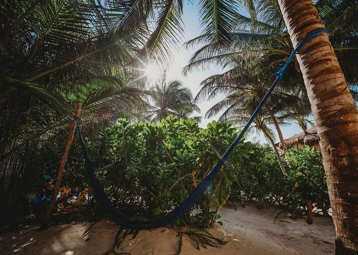 Beautiful House On Zone * Tulum Pueblo